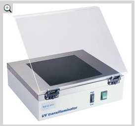 ����͸���_