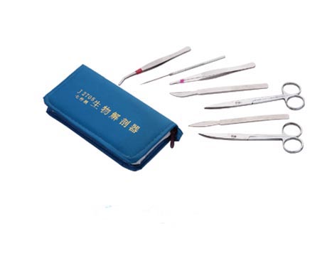 �̌W(xu��)������YF-029