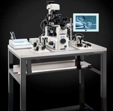 AV1�@΢���������_(t��i)