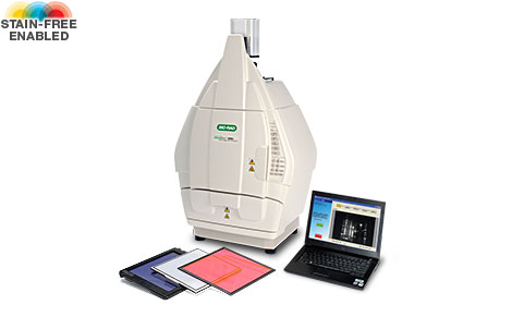 ����(l��)ChemiDoc™XRS+���`���Ȼ��W(xu��)�l(f��)�����ϵ�y(t��ng)