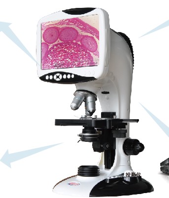 �๦�ܔ�(sh��)�aҺ���@΢�RTS2-�̌W(xu��)���A(ch��)��